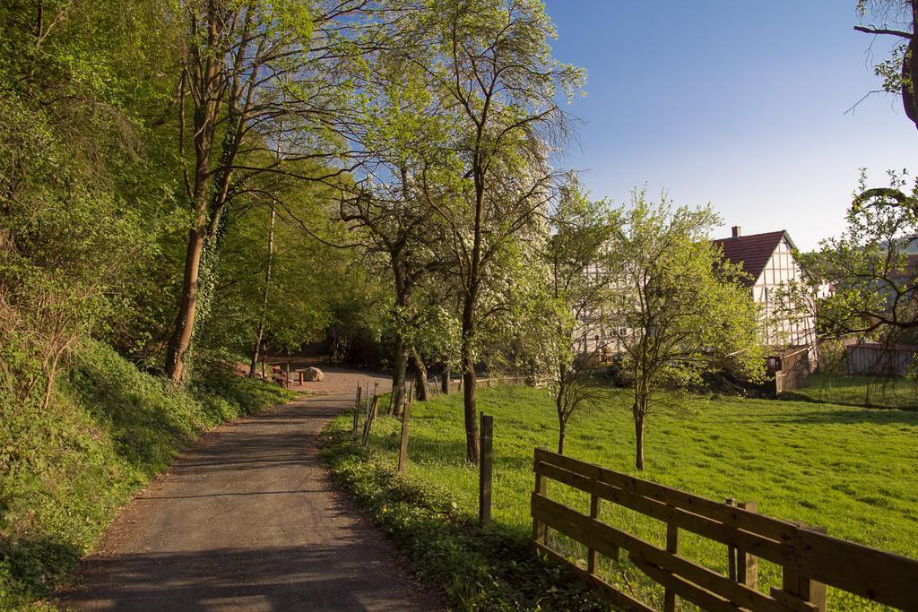 Hotel Am Lingelbach Knullwald Exterior photo